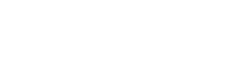 Discover Airlines