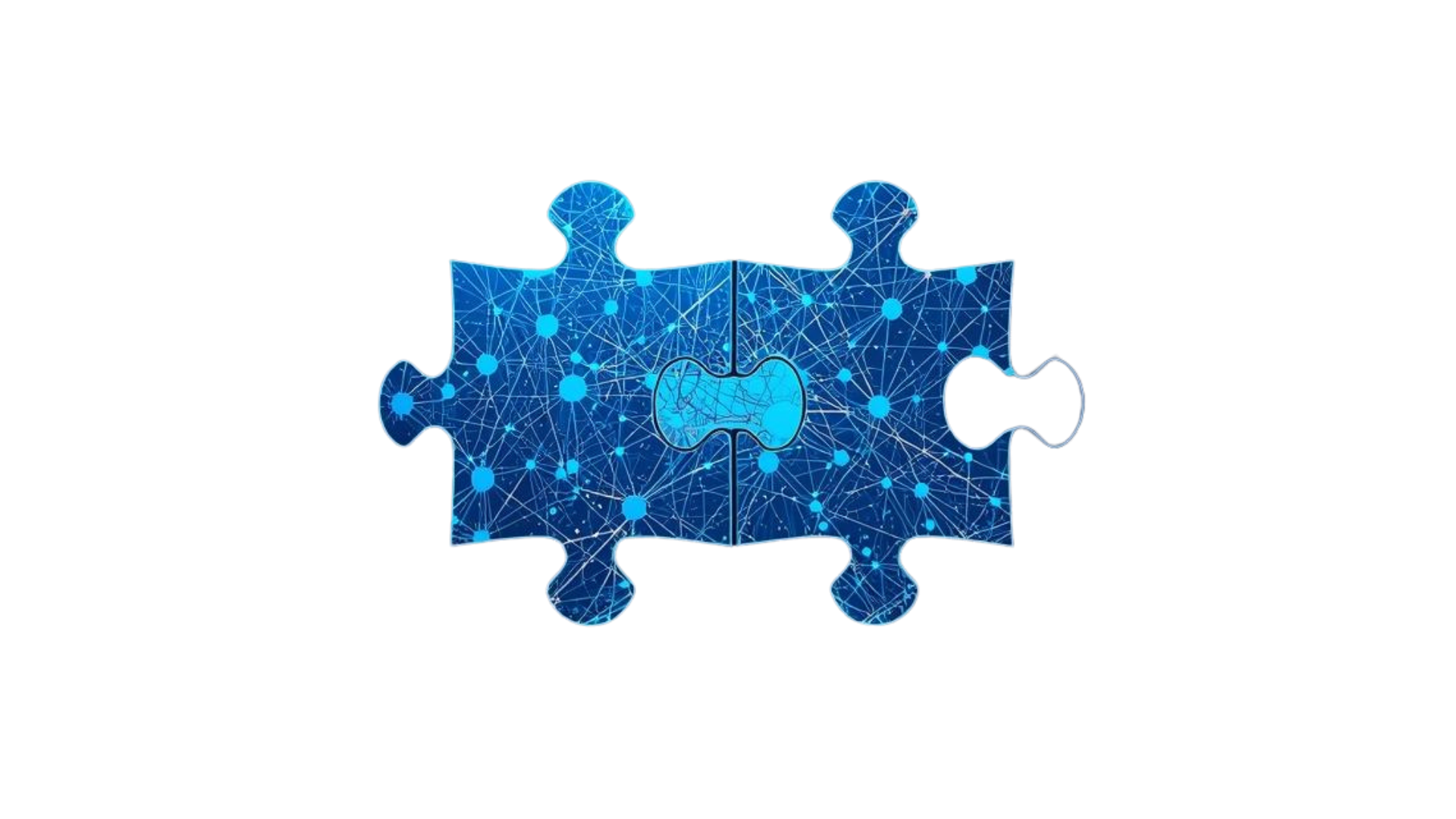 JUNEs partner network